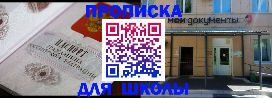 где прописаться в Павловске