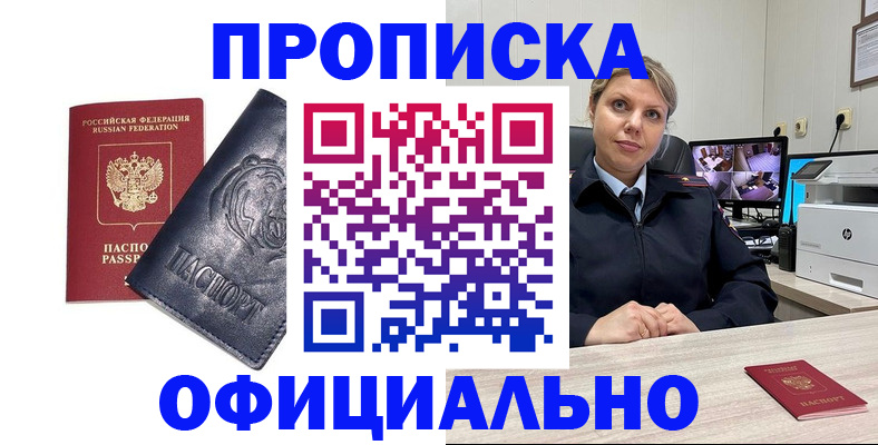 где прописаться в Павловске